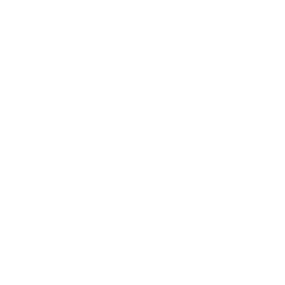 ce logo Anaheim