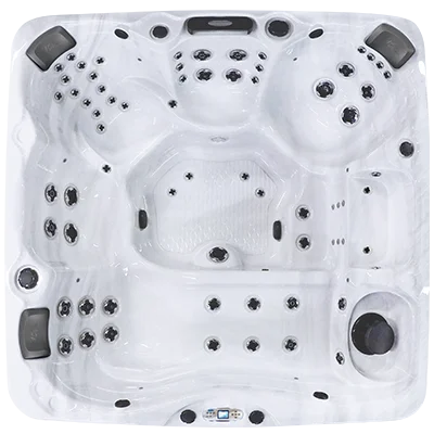 Avalon EC-867L hot tubs for sale in Anaheim